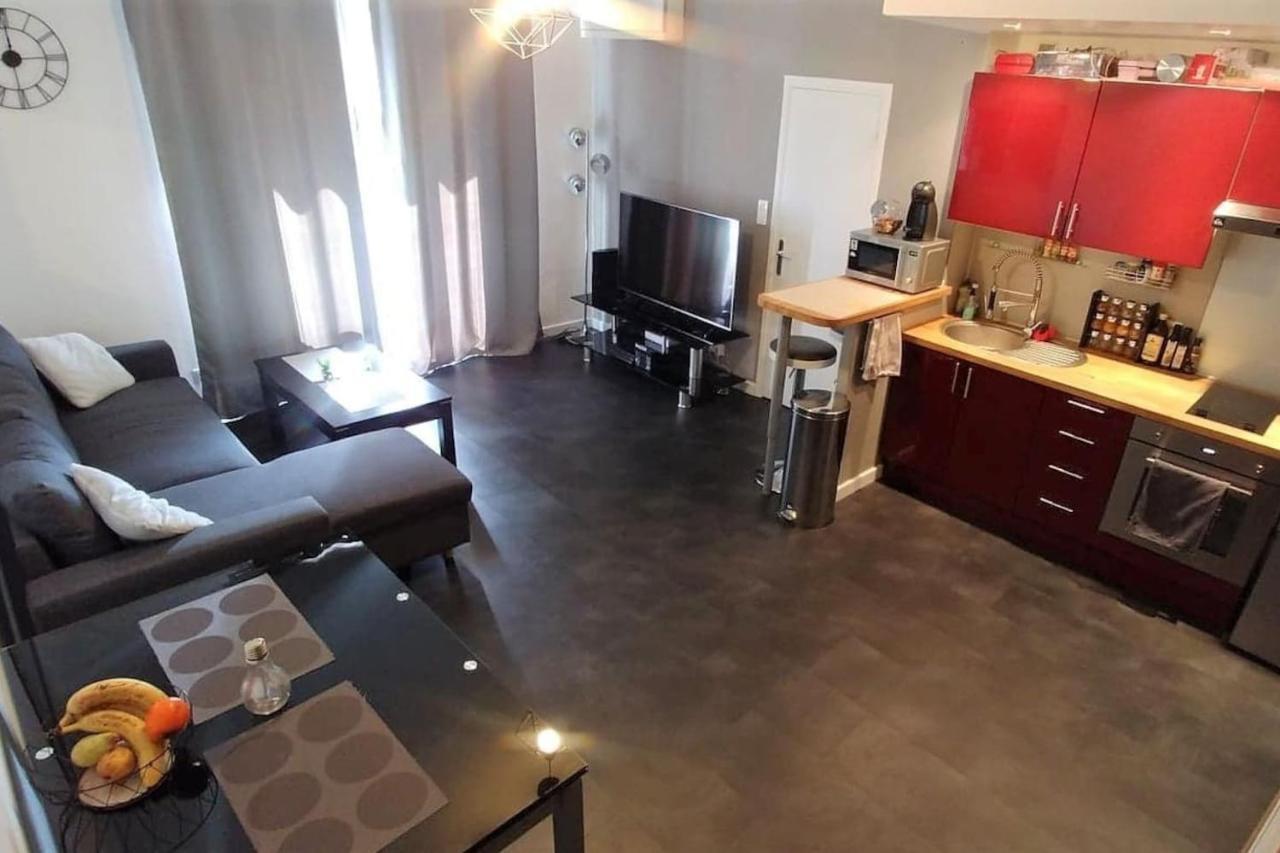 Charmant Studio Proche De Nice A 300M Des Plages Lejlighed Villeneuve-Loubet Eksteriør billede